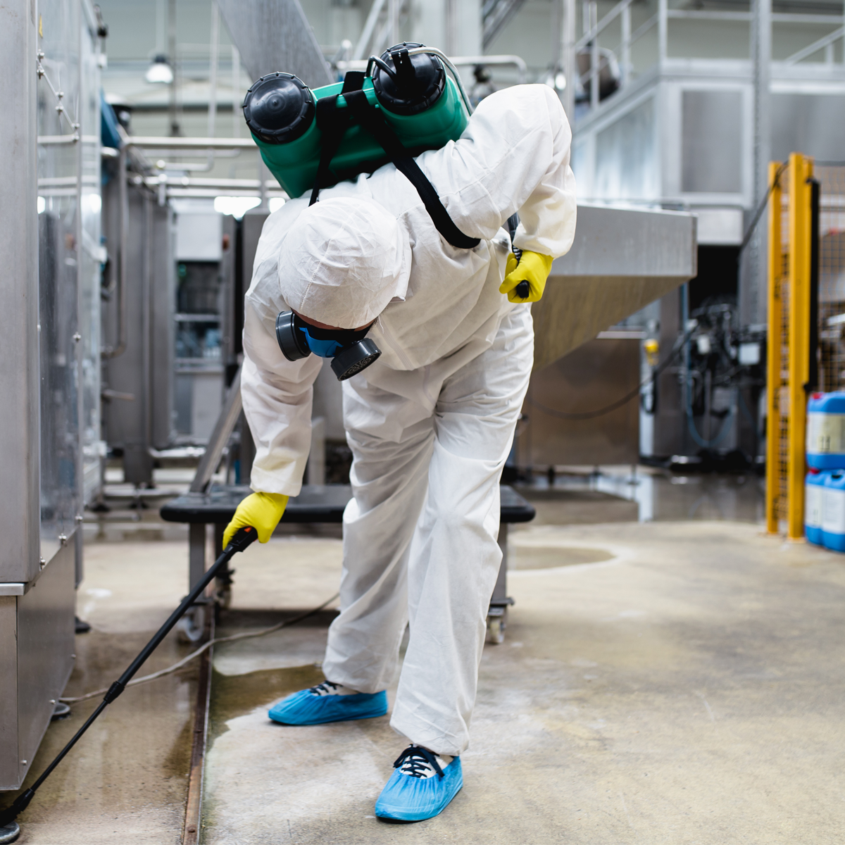 Untitled-1Artboard-2